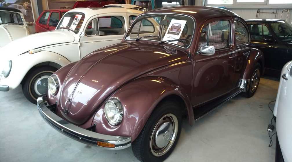 VW_Kaefer_aubergine_01.jpg