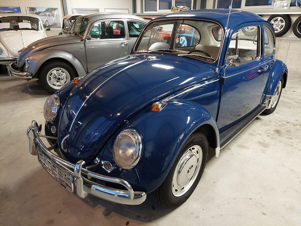 1300-VW-Kaefer-blau-03.jpg
