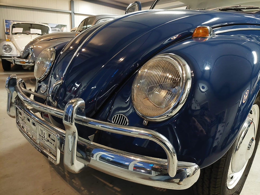 1300-VW-Kaefer-blau-05.jpg